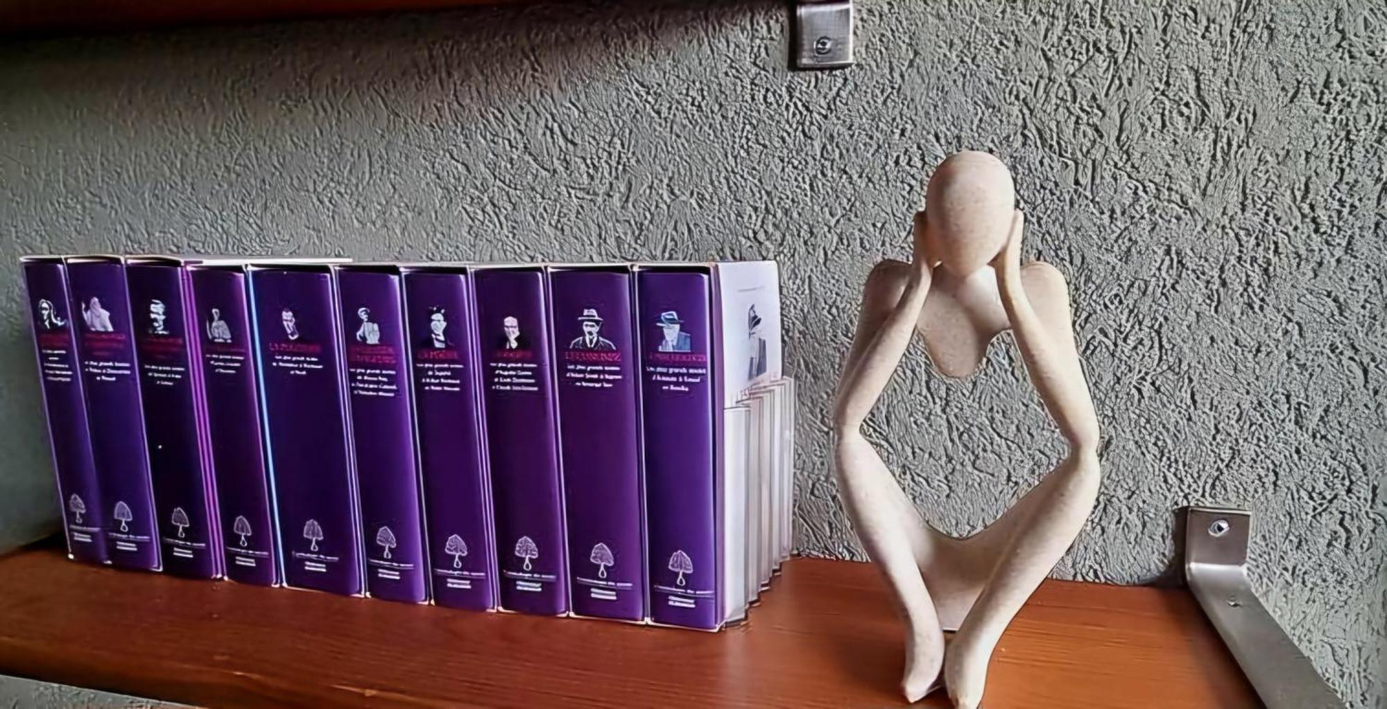 Très Lumineux Au Centre Appartement *